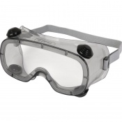 Delta Plus Ruiz 1 Clear Polycarbonate Safety Goggles